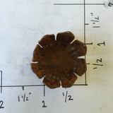 Rust iron crown,vintage aged crown,Princess crown,Prince crown, Queen crown,Royal Crown,Statue Figurine, rust crown, flower crown